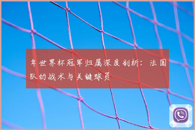 年世界杯冠军归属深度剖析:法国队的战术与关键球员