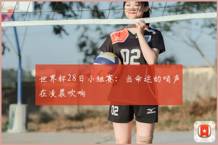 世界杯28日小组赛:当命运的哨声在凌晨吹响