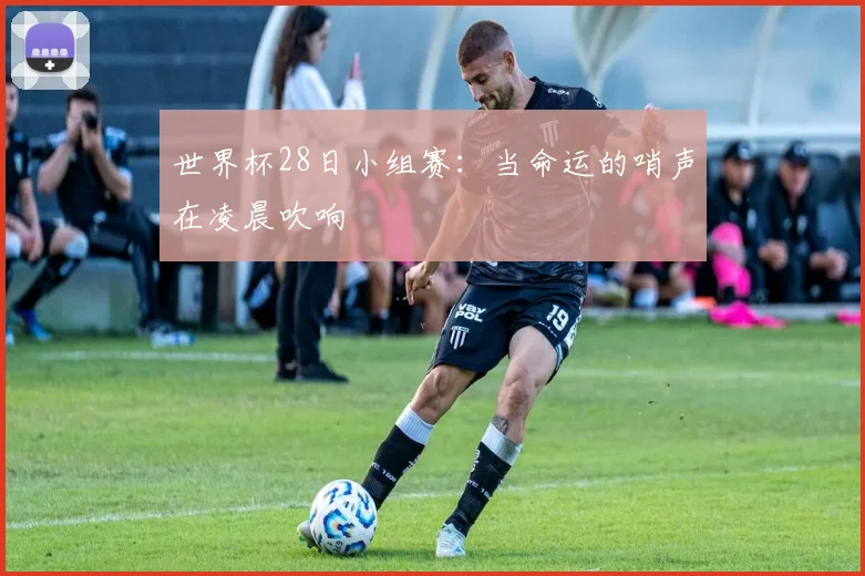 世界杯28日小组赛:当命运的哨声在凌晨吹响